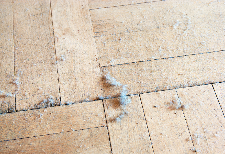 wood flooring covered in dust